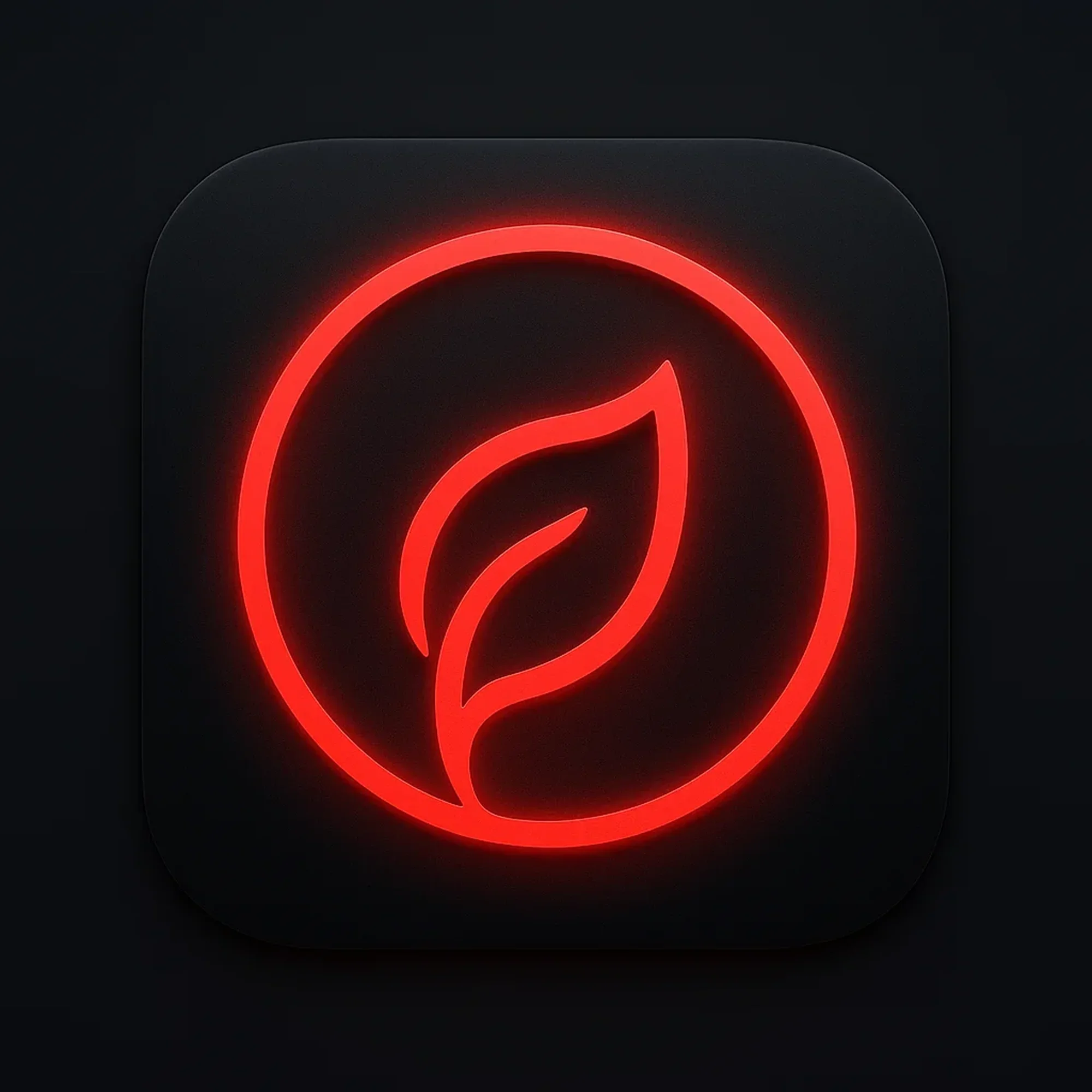 Clean Metrics Studio